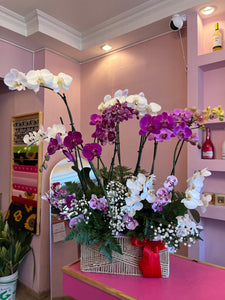 Canasta de orquídeas