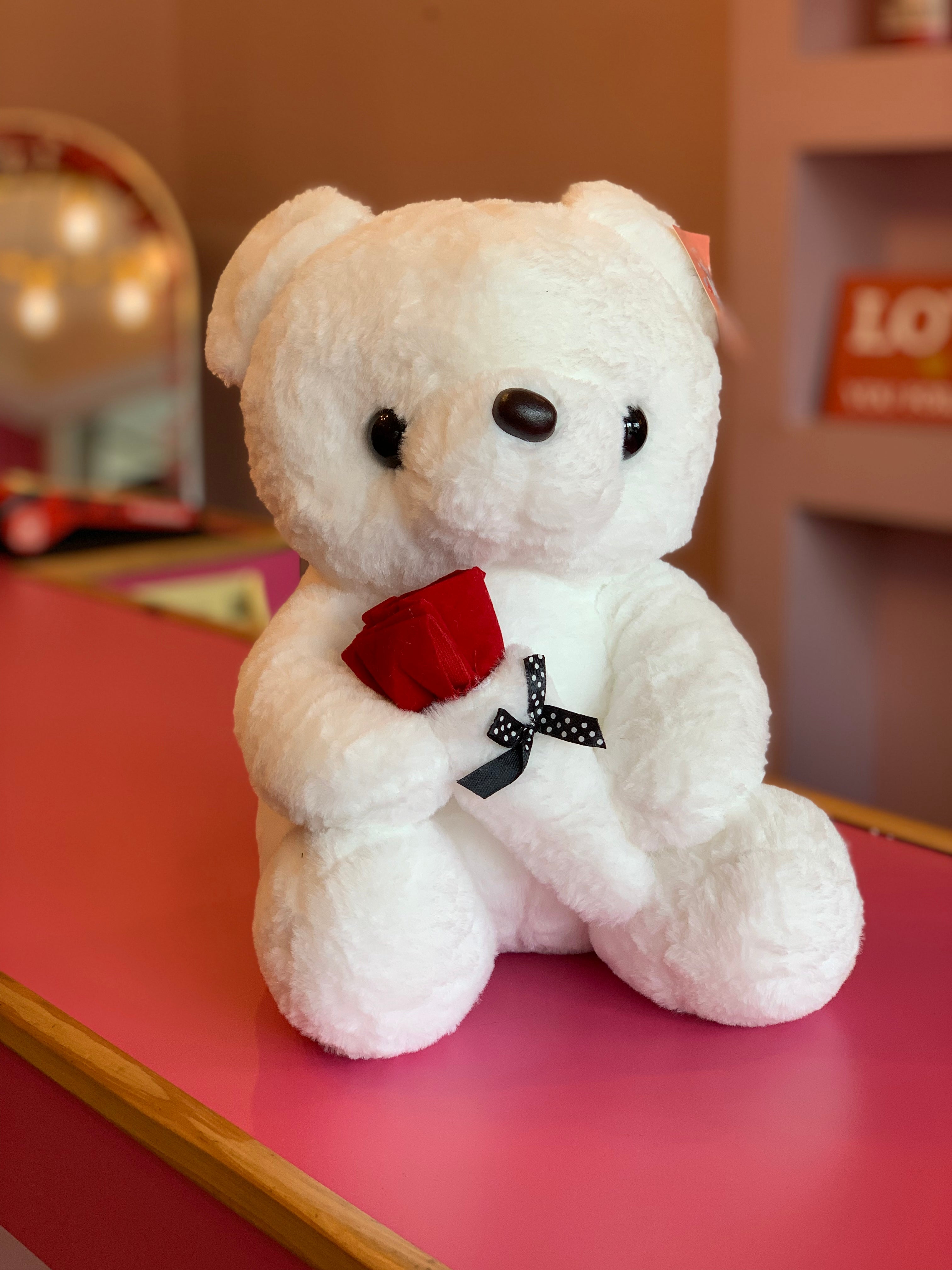 teddy con Rosita