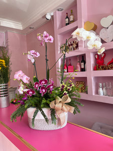Orquideas en combo