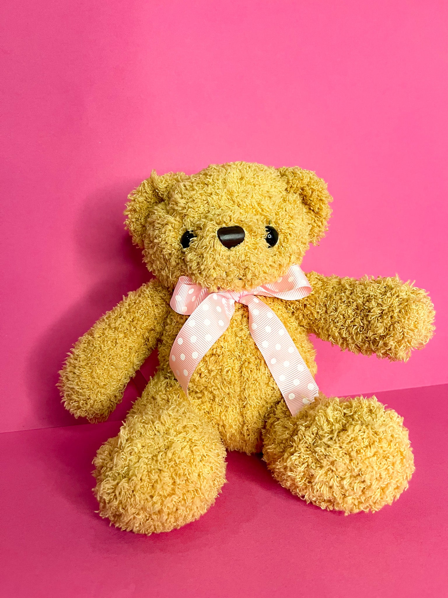Teddy momi