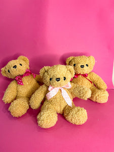 Teddy momi